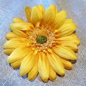 Meet your Posher, Arvonne